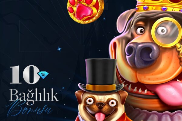 Sapphire Palace spor bahisleri deneyimini futbol ve tenis için sunduğu gelişmiş analiz araçları ile nasıl üst seviyeye taşıdığını keşfedin. İstatistikler, canlı grafikler ve maç özetleri ile daha akıllı bahisler yapın.
